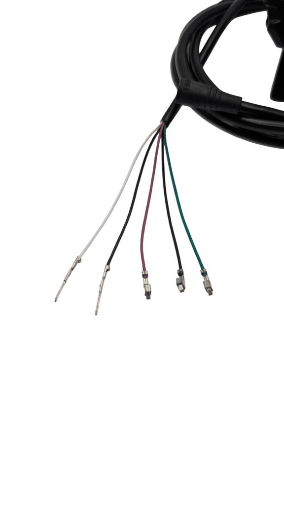 DUALTRON THUNDER 3 2023 _ ACCELERATEUR 5 PINS (1)